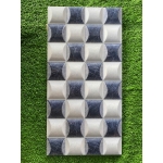 Gạch trang trí 25x50 02