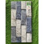 Gạch trang trí 25x50 HPD250111