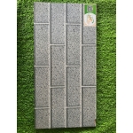 Gạch trang trí 25x50 TTP25200