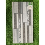 Gạch trang trí 25x50 TTP25202