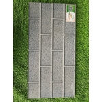 Gạch trang trí 25x50 TTP25203