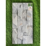 Gạch trang trí 25x50 TTP25215