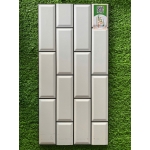 Gạch trang trí 25x50 TTP25251