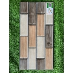 Gạch trang trí 25x50 TTP25276