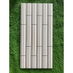 Gạch trang trí 25x50 VT2904