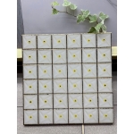 Gạch 30x30 KHẮC KIM 31