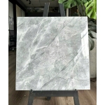 Gạch 60x60 TK149S3