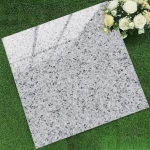 Gạch 60x60 TK6654N