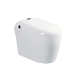 Bồn cầu thông minh AC1229