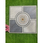 Gạch 50x50 ĐPLSV55008