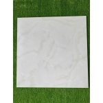 Gạch đá bóng kính 60x60 NB6608