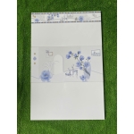 Gạch ốp tường 30X60 HK3068