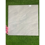 Gạch 50x50 HP5DHP61