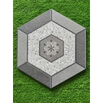 -Lục giác NPGH5661