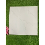 Gạch 50x50 NHGP5502