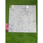 Gạch 50x50 PLGK5111