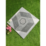 Gạch 50x50 SBBHP5507