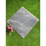 Gạch 50x50 SBBML5509