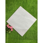 Gạch 50x50 SBBML5511