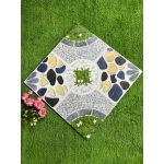 Gạch 50x50 SBBML5514