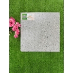 Gạch lát 30x30 SKD3049