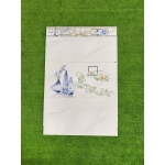 Gạch 30x60 THPWGHC3606V01