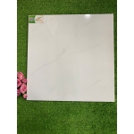 Gạch 50x50 THPWGHC5001