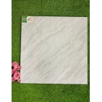 Gạch 50x50 THPWGHC5006