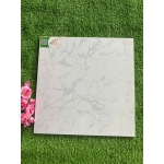 Gạch 40x40 TP40027