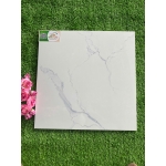 Gạch 40x40 TPN049