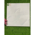 Gạch 50x50 TPSA5001