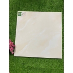 Gạch 50x50 TPSA5003