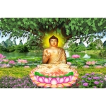 Tranh phong cảnh 44