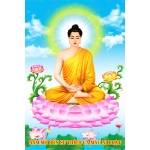 Tranh phong cảnh 45