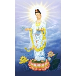 Tranh phong cảnh 56