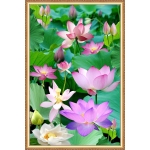 Tranh phong cảnh 65