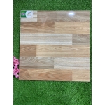 Gạch 50x50 TRMTZ5173