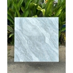 Gạch 80x80 TT58905