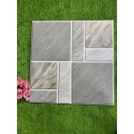 Gạch 50x50 TTTD5101