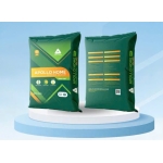 Keo dán gạch APOLLO HOME S600 ECO