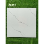 Gạch đá bóng kính 60x60 MT60202