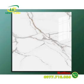 Gạch 1200x1200 1204