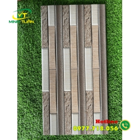 Gạch trang trí 25x50 03