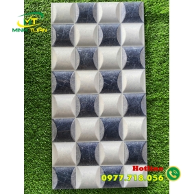 Gạch trang trí 25x50 04