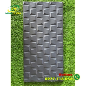 Gạch trang trí 25x50 ĐTP2507