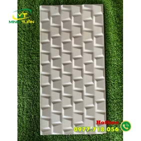 Gạch trang trí 25x50 ĐTPKT2509