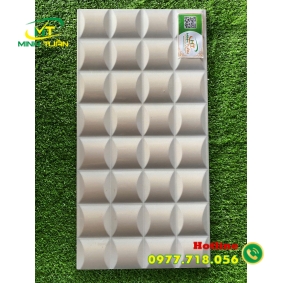 Gạch trang trí 25x50 HPDB15032
