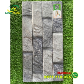 Gạch trang trí 25x50 HPD250113