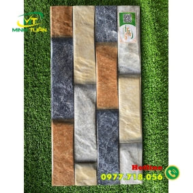 Gạch trang trí 25x50 HPD250115