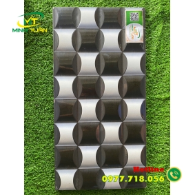 Gạch trang trí 25x50 HPD250316